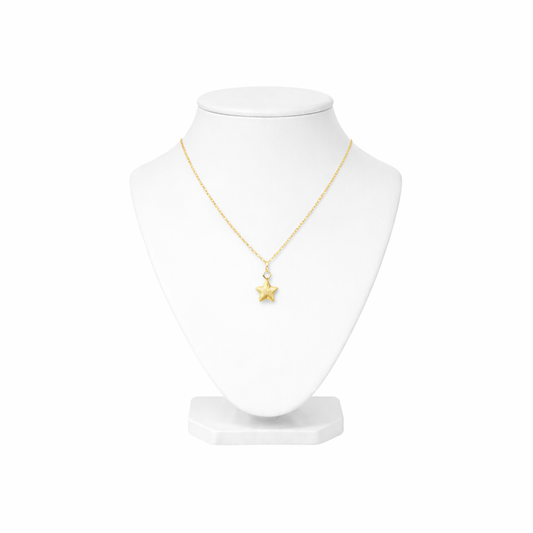 Brushed Star Zircon Pendant Necklace