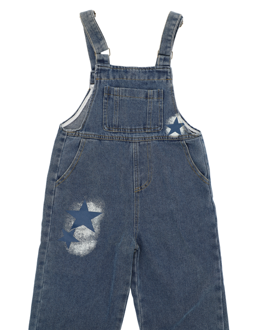 Milky Way Overall