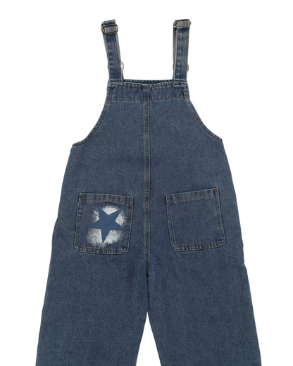 Milky Way Overall
