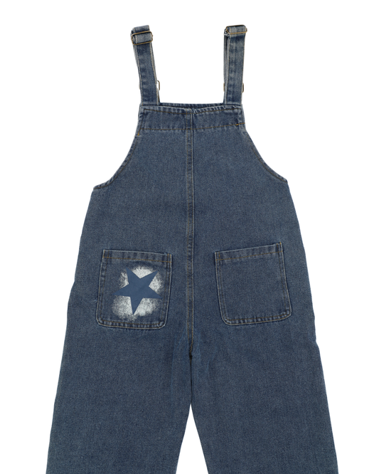 Milky Way Overall