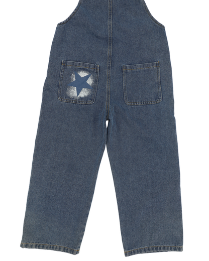 Milky Way Overall