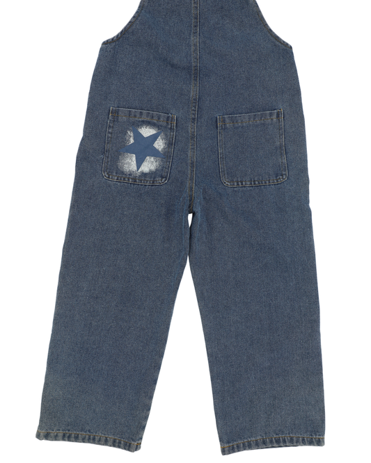 Milky Way Overall