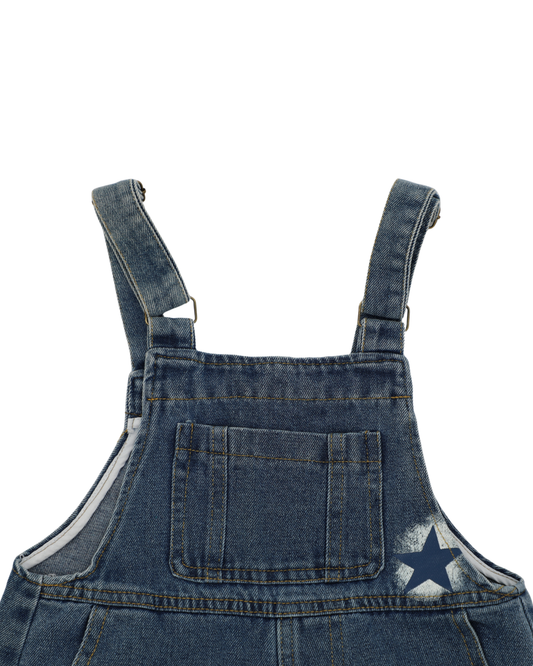 Milky Way Overall