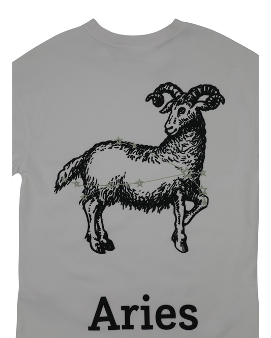 Aries Zodiac Vibe Tee