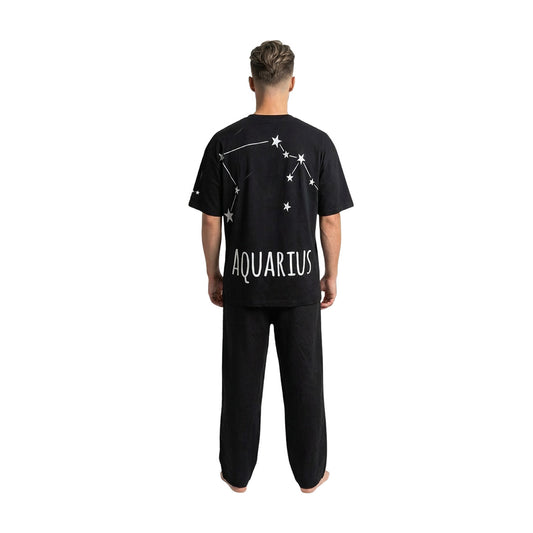 Aquarius Zodiac Feel Tee