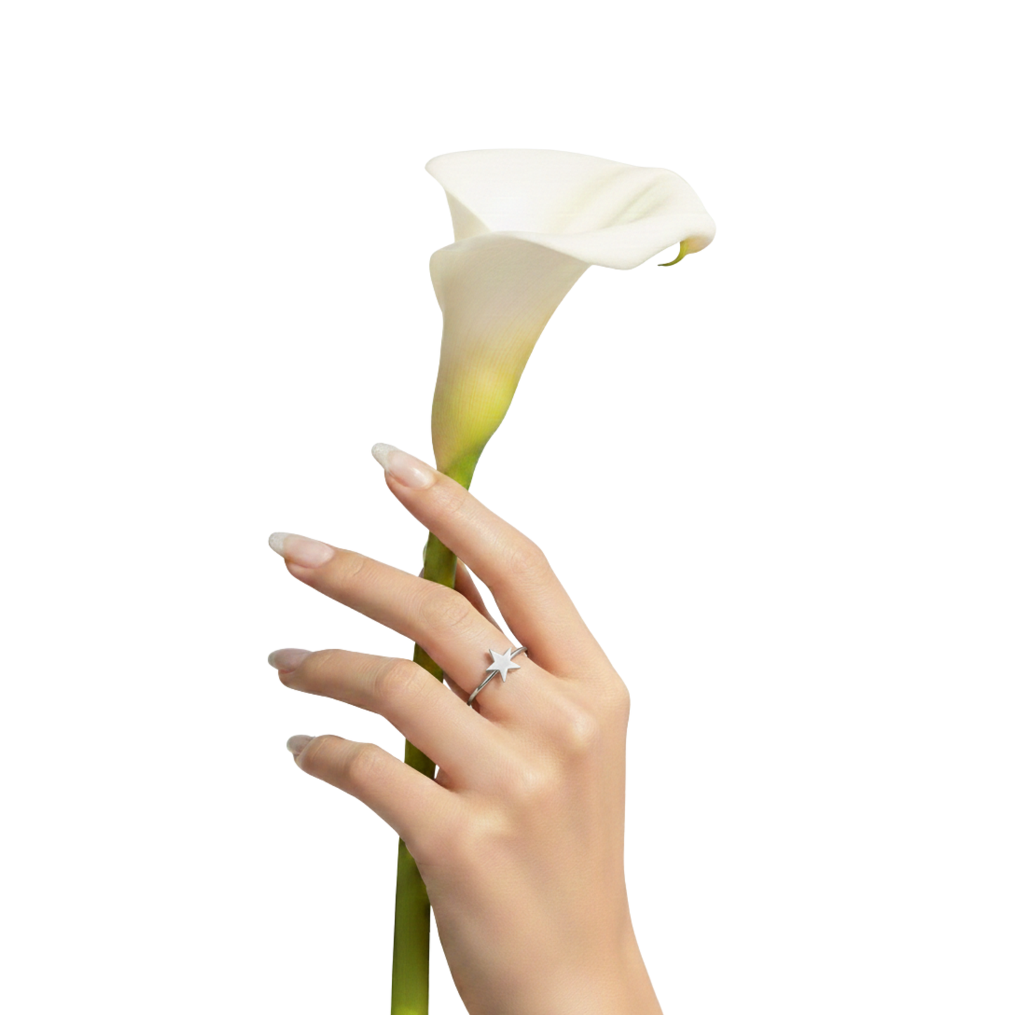 Minimal Star Band Ring