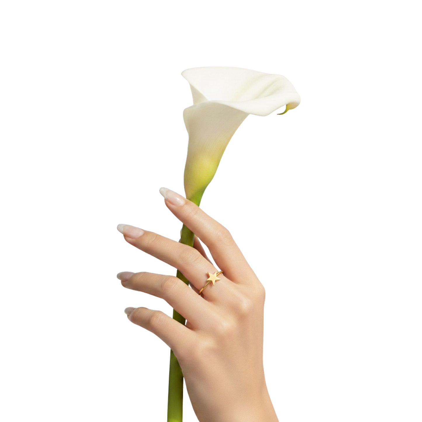 Minimal Star Band Ring