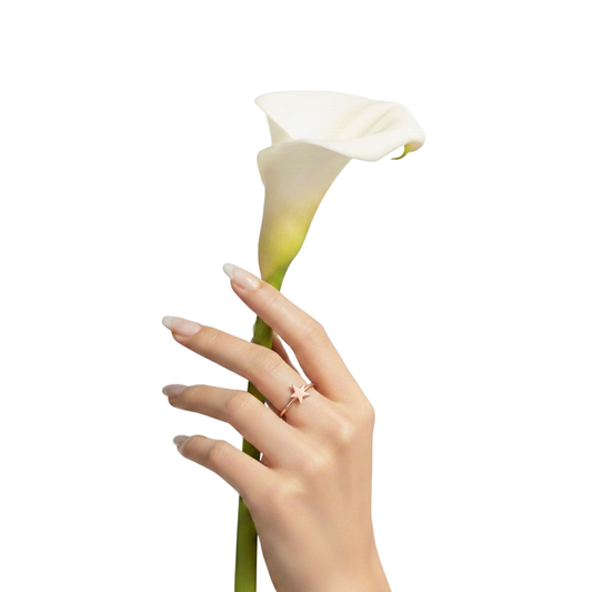 Minimal Star Band Ring