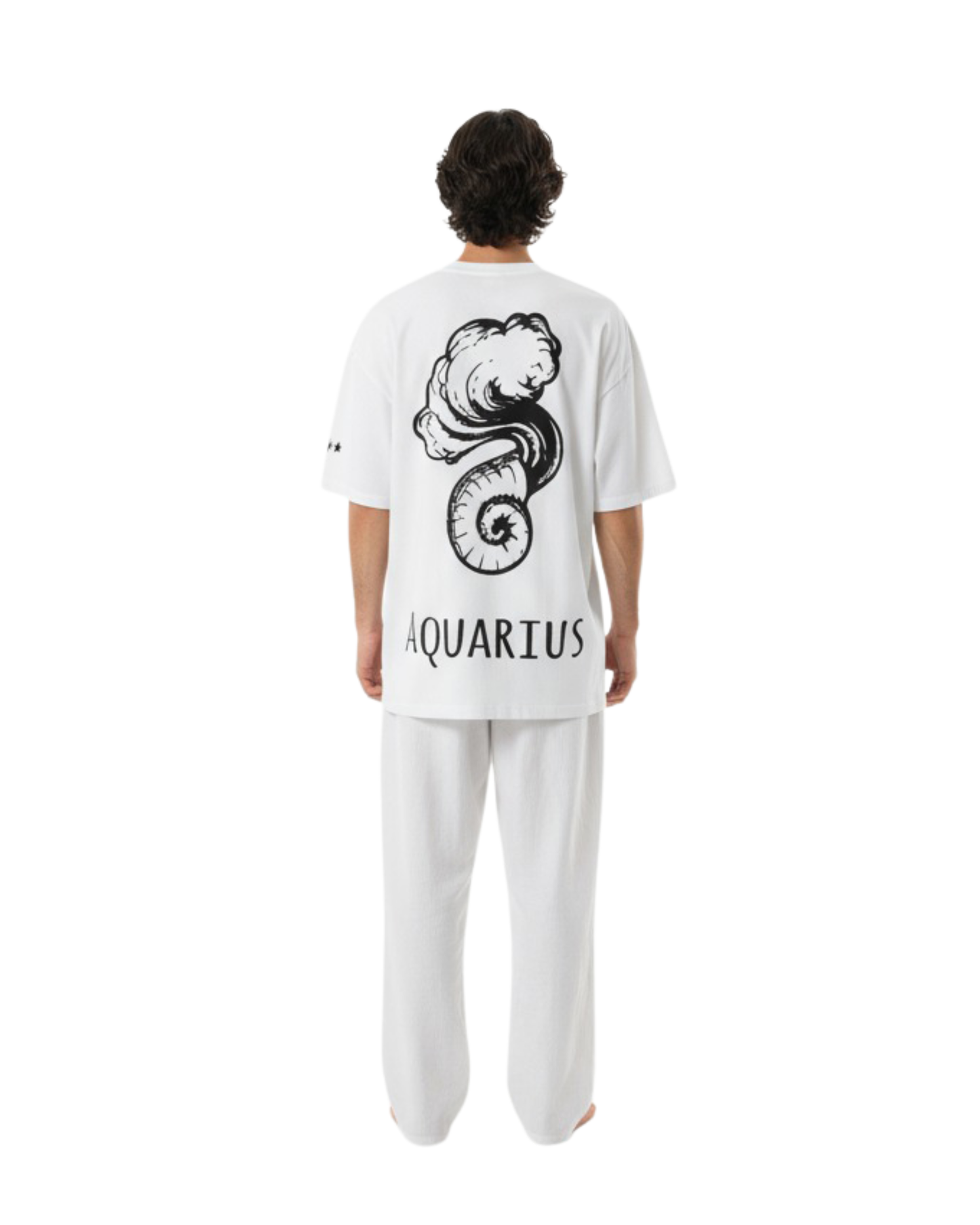 Zodiac Flow Aquarius Tee